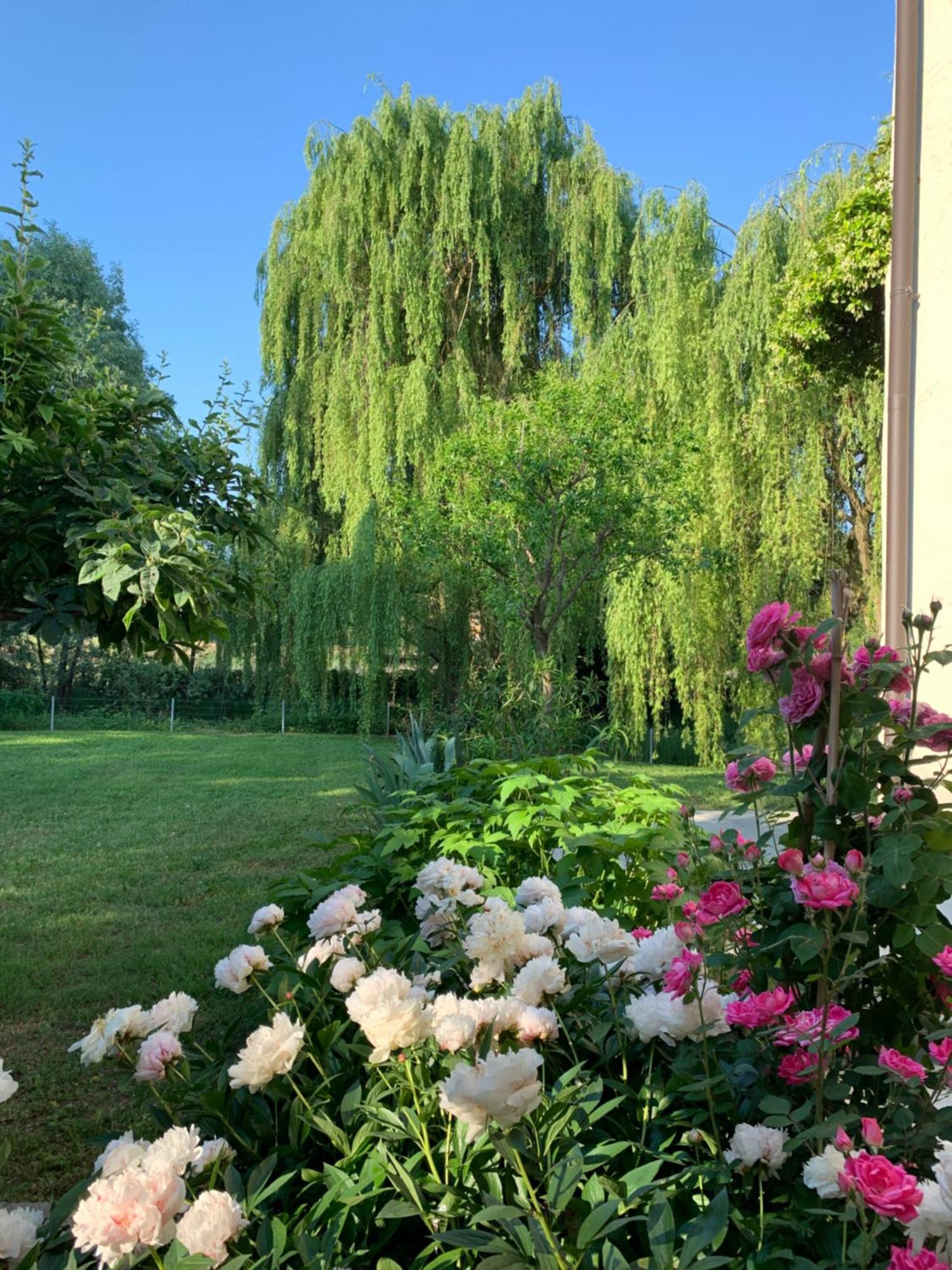 מונזמבנו L'Isolo B&B E Case Vacanza מראה חיצוני תמונה